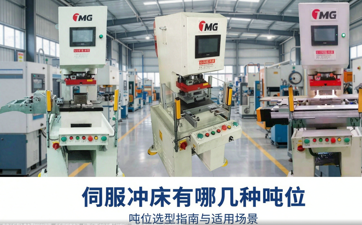 你们那的伺服冲床都有多少吨位的？